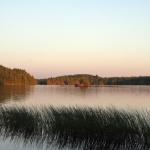 Img 8350 01w